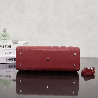 Dior Bag — 4