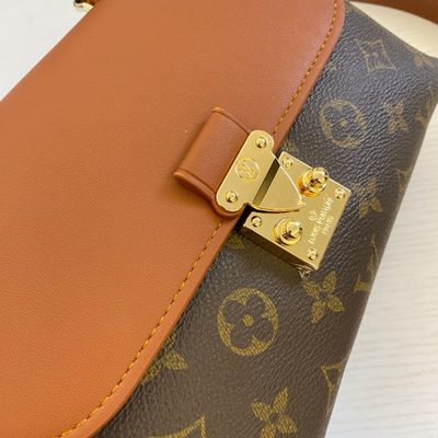 Louis Vuitton Bag — 6