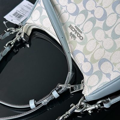 Coach Bag — 7