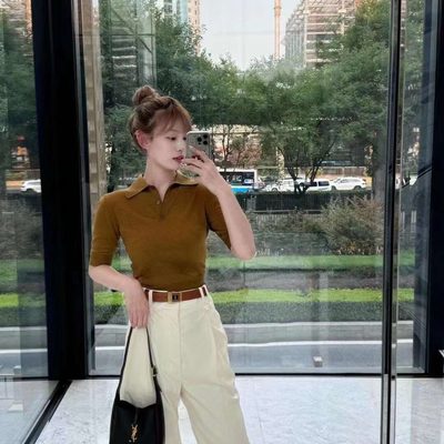 YSL Bag — 6