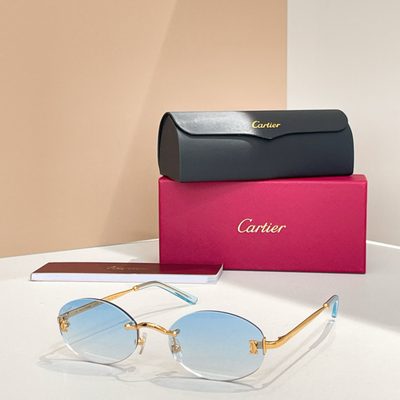 Cartier Sunglasses — 4