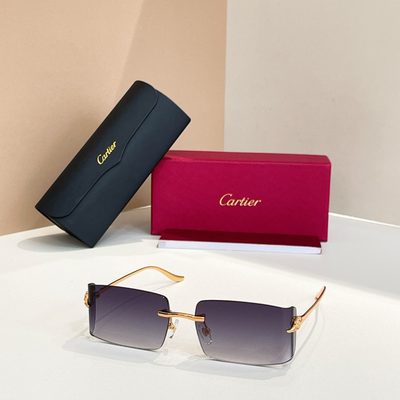 Cartier Sunglasses — 4