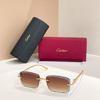 Cartier Sunglasses — 5