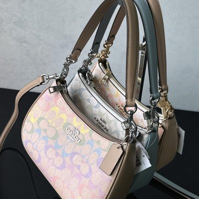 Coach Bag — 5
