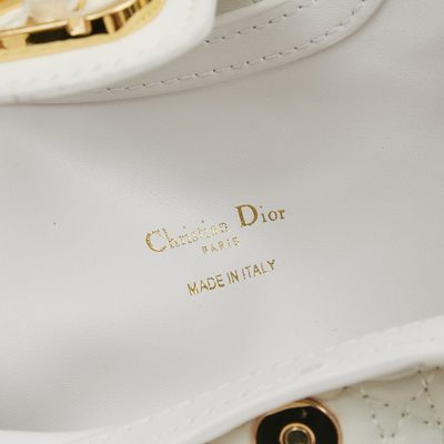 Dior Bag — 8