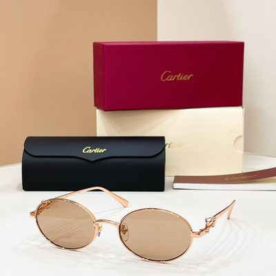 Cartier Sunglasses — 5
