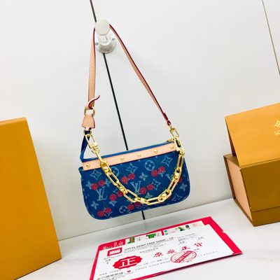 Louis Vuitton Bag