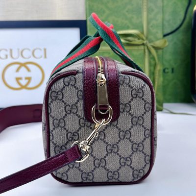 Gucci Bag — 5