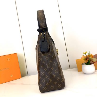 Louis Vuitton Bag — 5