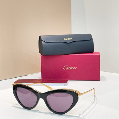 Cartier Sunglasses — 8