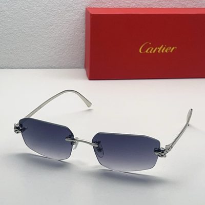 Cartier Sunglasses — 5