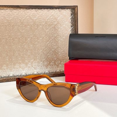 YSL Sunglasses — 8