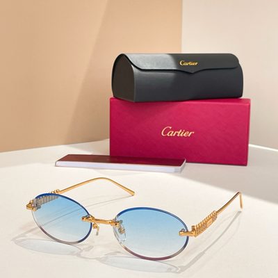 Cartier Sunglasses — 9