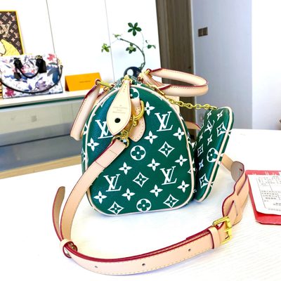 Louis Vuitton Bag — 6
