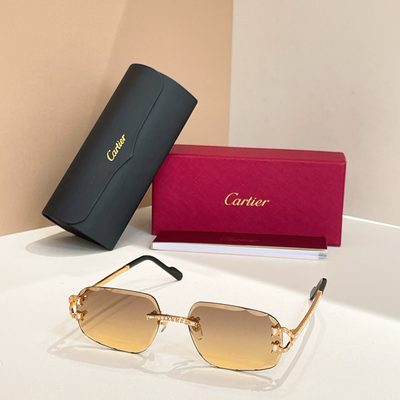 Cartier Sunglasses — 7