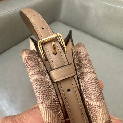 Coach Bag — 12