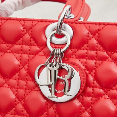 Dior Bag — 9