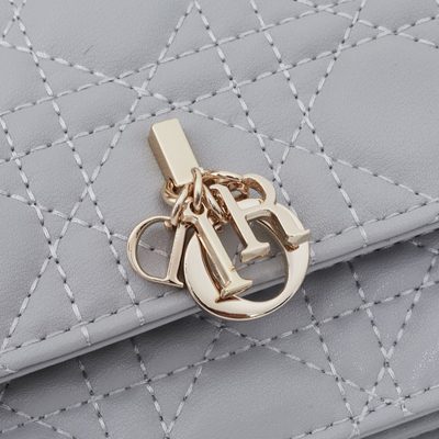 Dior Bag — 5