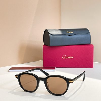 Cartier Sunglasses — 5