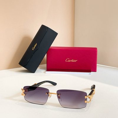 Cartier Sunglasses — 7