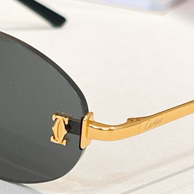 Cartier Sunglasses — 9