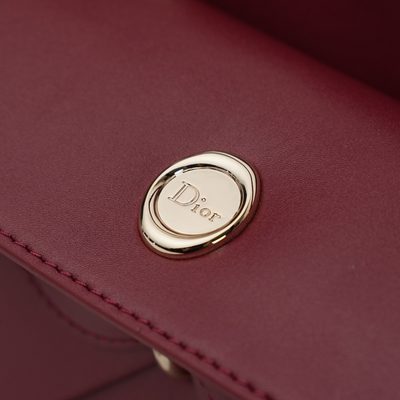 Dior Bag — 9