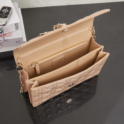 Dior Bag — 9