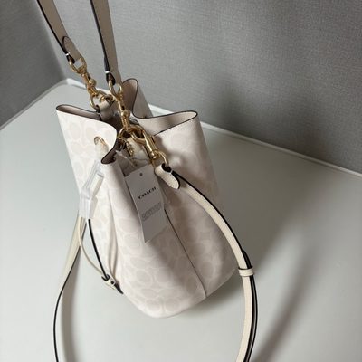 Coach Bag — 6