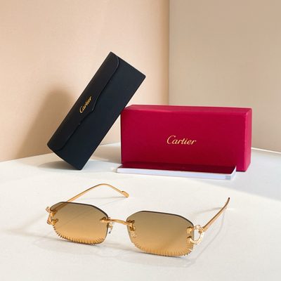 Cartier Sunglasses — 6