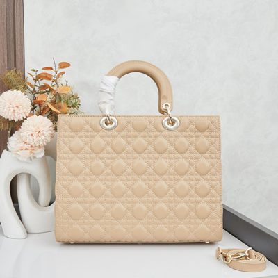 Dior Bag — 3