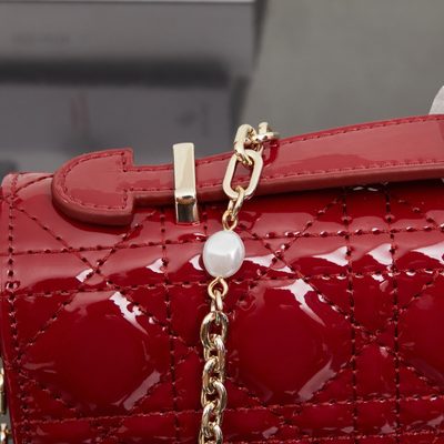 Dior Bag — 7