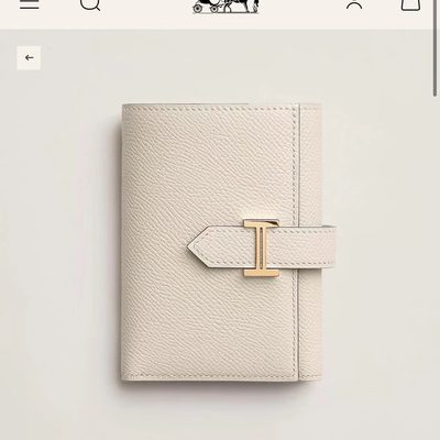 Hermes Bag — 3