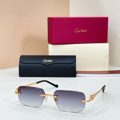 Cartier sunglasses — 5