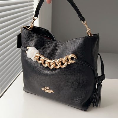 Coach Bag — 18