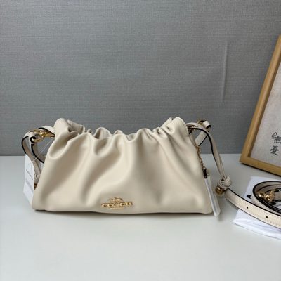 Coach Bag — 5