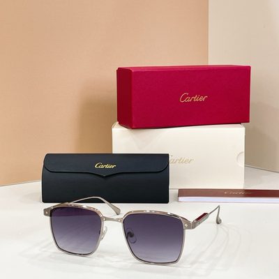 Cartier Sunglasses — 6