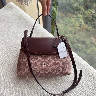 Coach Bag — 14