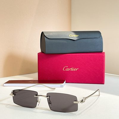 Cartier Sunglasses — 3