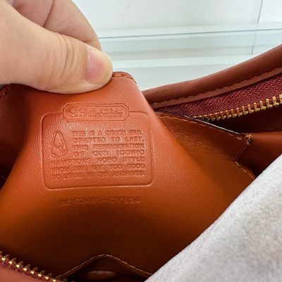 Coach Bag — 6