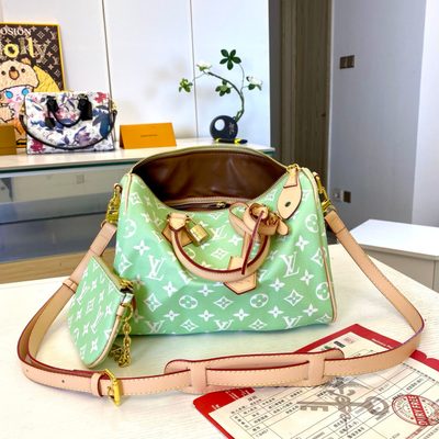 Louis Vuitton Bag — 4