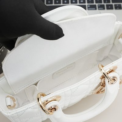 Dior Bag — 9