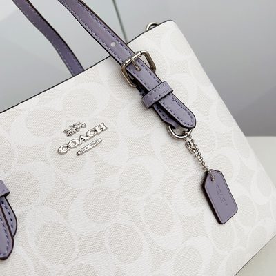 Coach Bag — 8