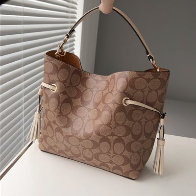 Coach Bag — 7