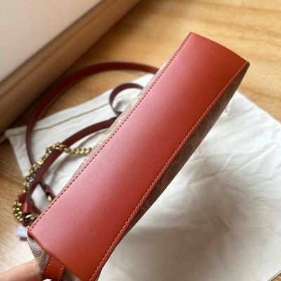 Coach Bag — 6