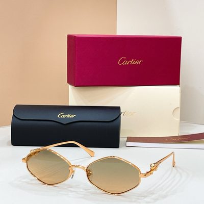 Cartier Sunglasses — 3