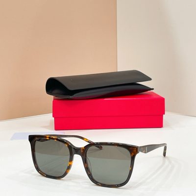 YSL Sunglasses — 7