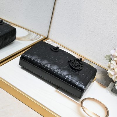 Dior Bag — 5
