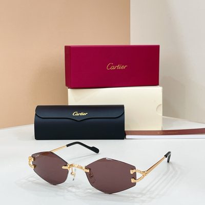 Cartier sunglasses — 7