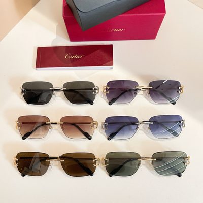 Cartier Sunglasses — 9