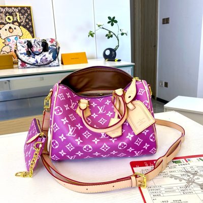Louis Vuitton Bag — 4
